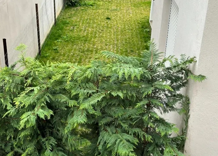 Dream House Karagounis Apartman *